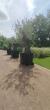 Uczestnicy WTZ z wizytÄ
w Afloparku w Pabianicach 18.07.2025 fotografia nr 5