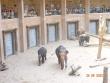 Wycieczka do �ódzkiego ZOO fotografia nr 6