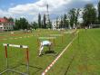 Spartakiada Sportowa w Sochaczewie fotografia nr 12